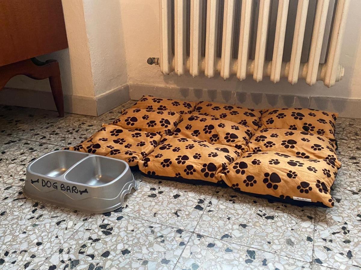 Casa Vacanze Beppina Cortona Zewnętrze zdjęcie