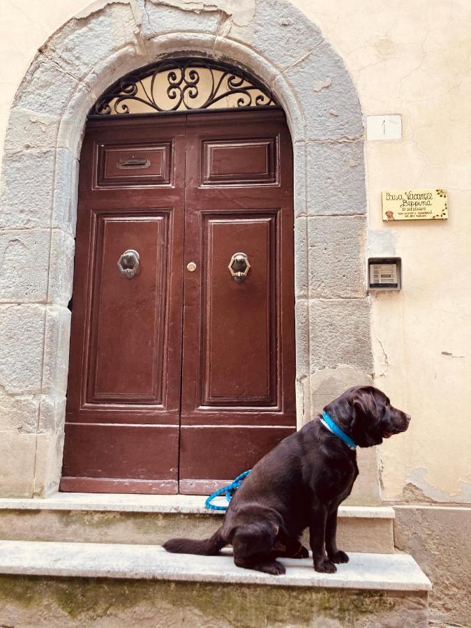Casa Vacanze Beppina Cortona Zewnętrze zdjęcie